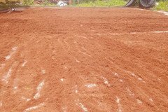 golden_coco_sri_lanka_19