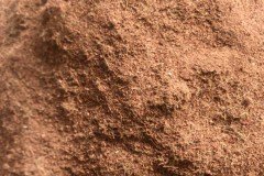 golden_coco_sri_lanka_25