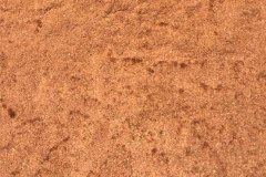 golden_coco_sri_lanka_29
