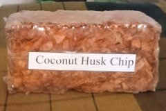 golden_coco_sri_lanka_11
