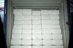 golden_coco_sri_lanka_27