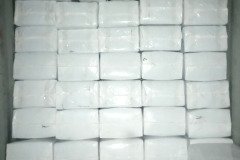 golden_coco_sri_lanka_28